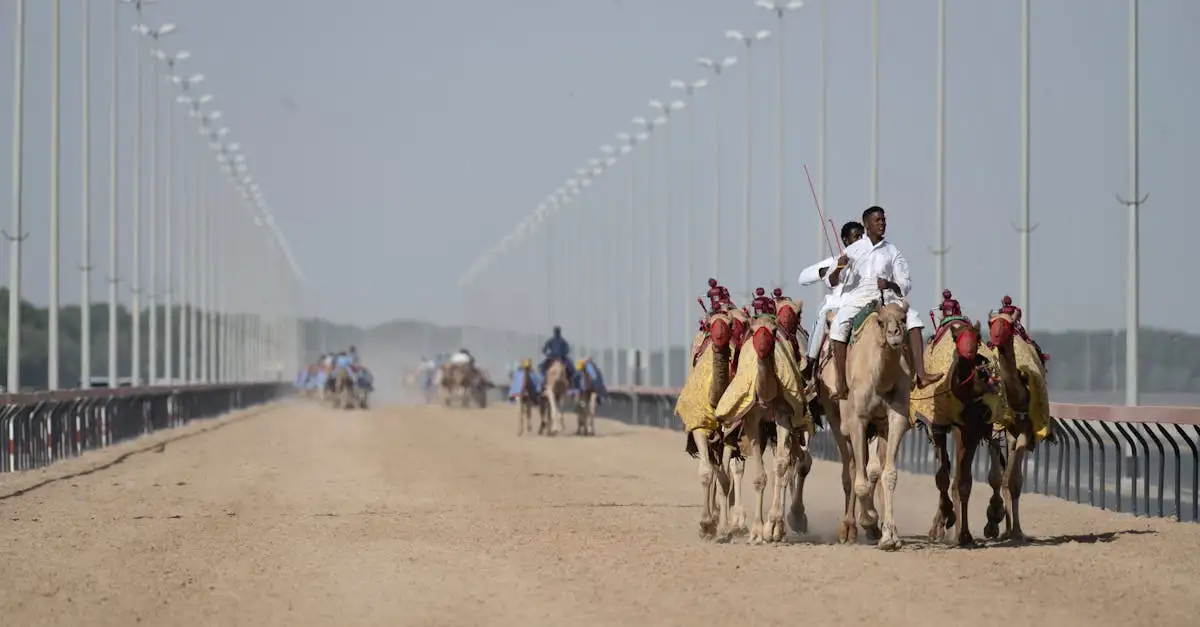 Quali sono i migliori eventi e attività divertenti negli Emirati?