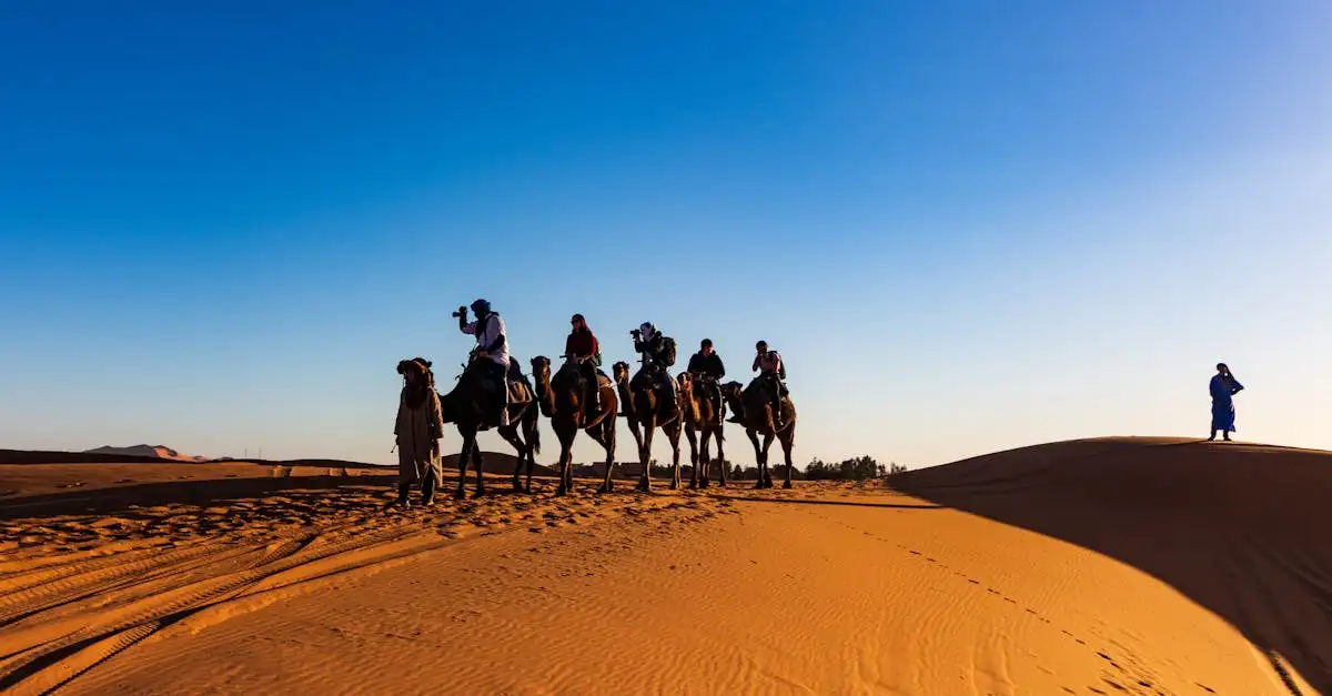 Quali sono le cause dell'estrema siccità nel Corno d'Africa?