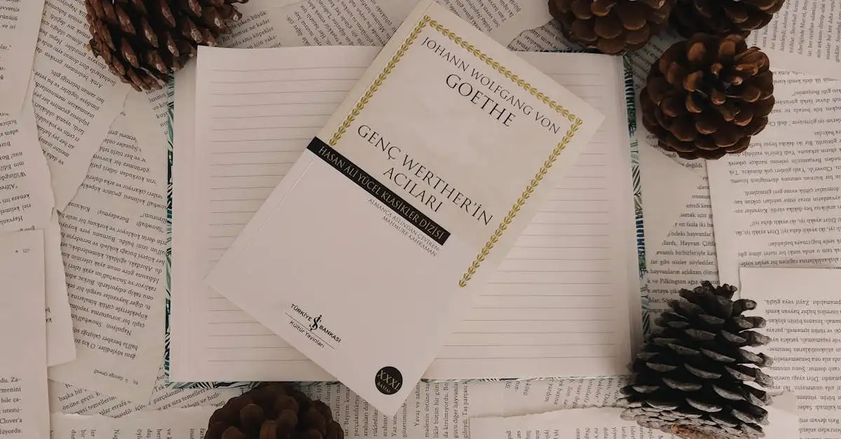 Chi ha scritto I dolori del giovane Werther?