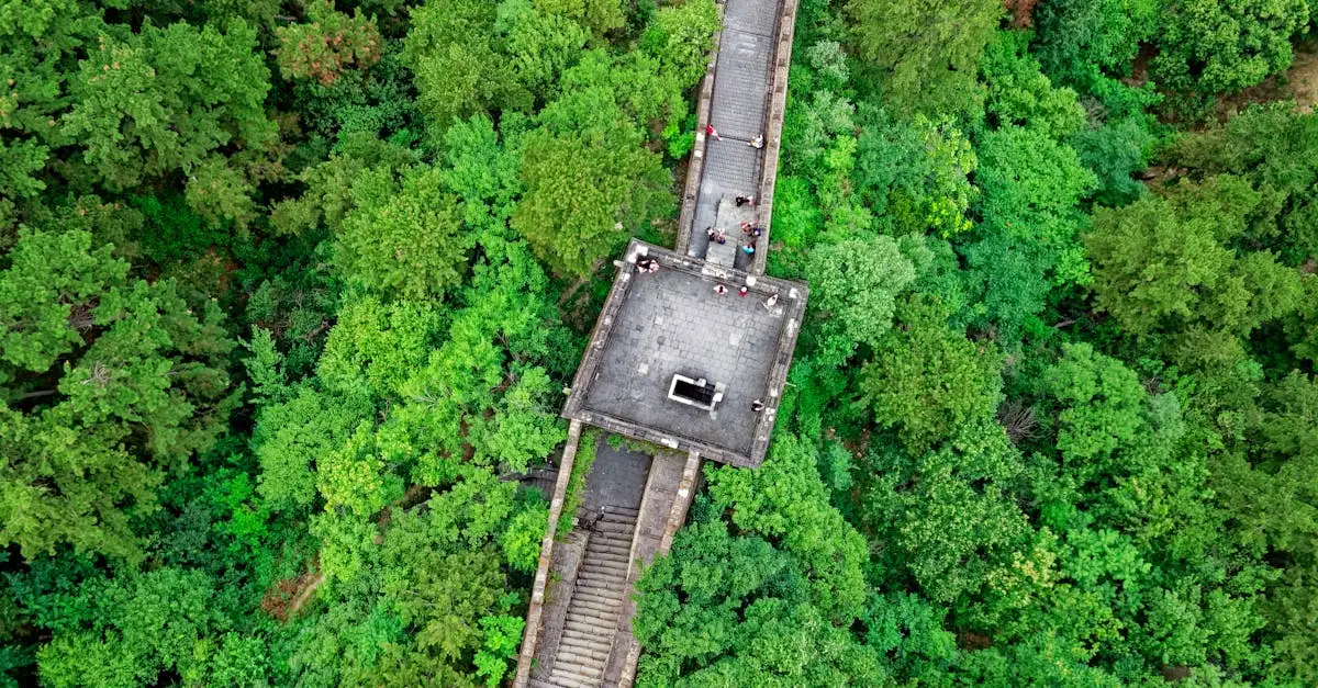 Chi unificò la Cina e costruì la Grande Muraglia?