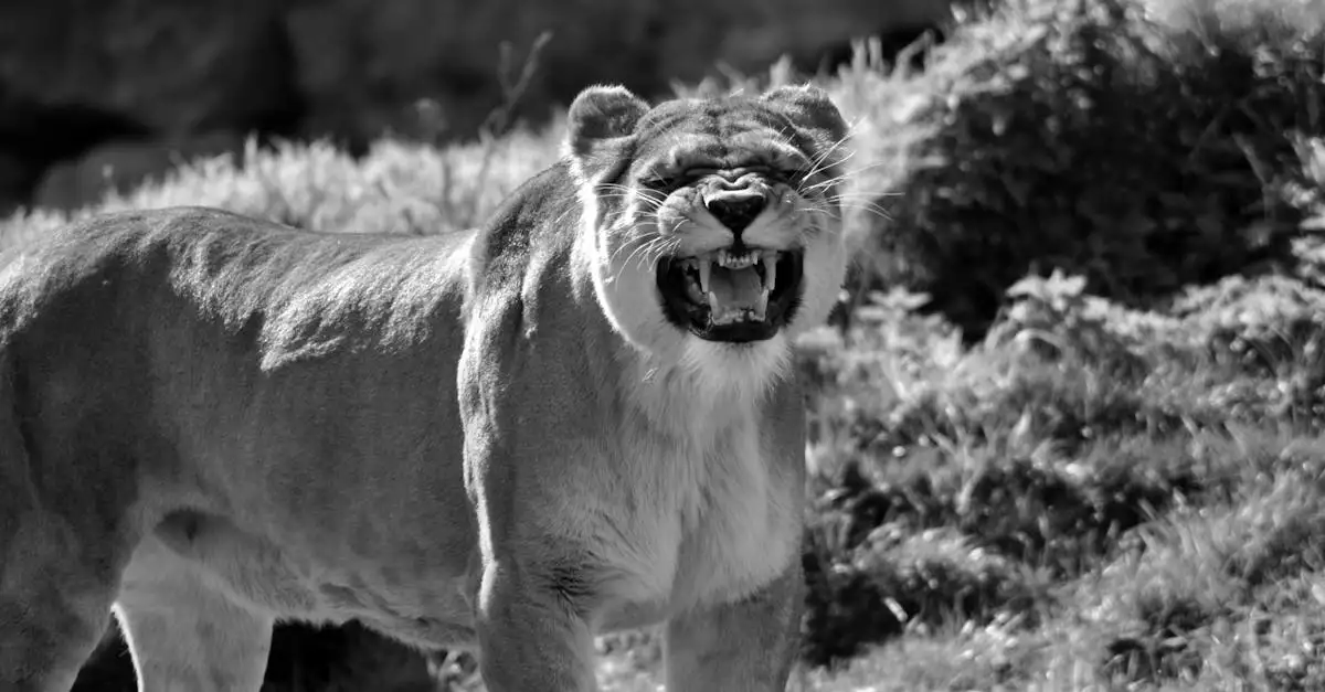 Perché i gatti portano le prede a casa? Ecco la risposta!