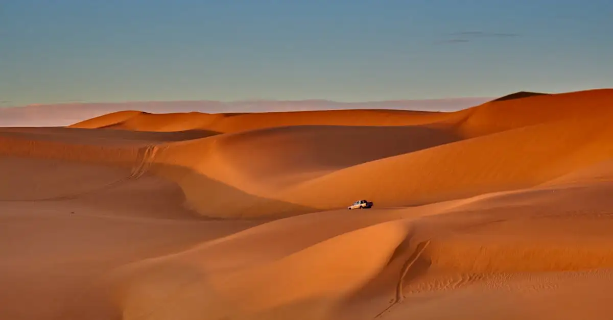 Qual è il deserto più grande del mondo, il Sahara?