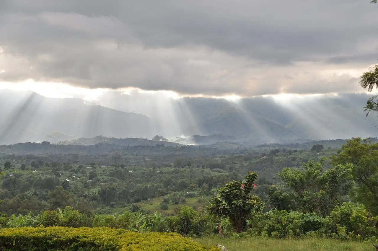 Qual è il fiume che attraversa Congo e Gabon?