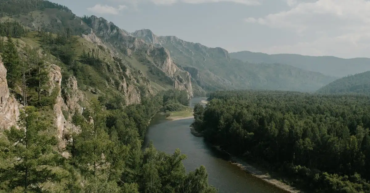 Qual è il fiume più grande della Siberia, l'Ob? Scopriamolo!