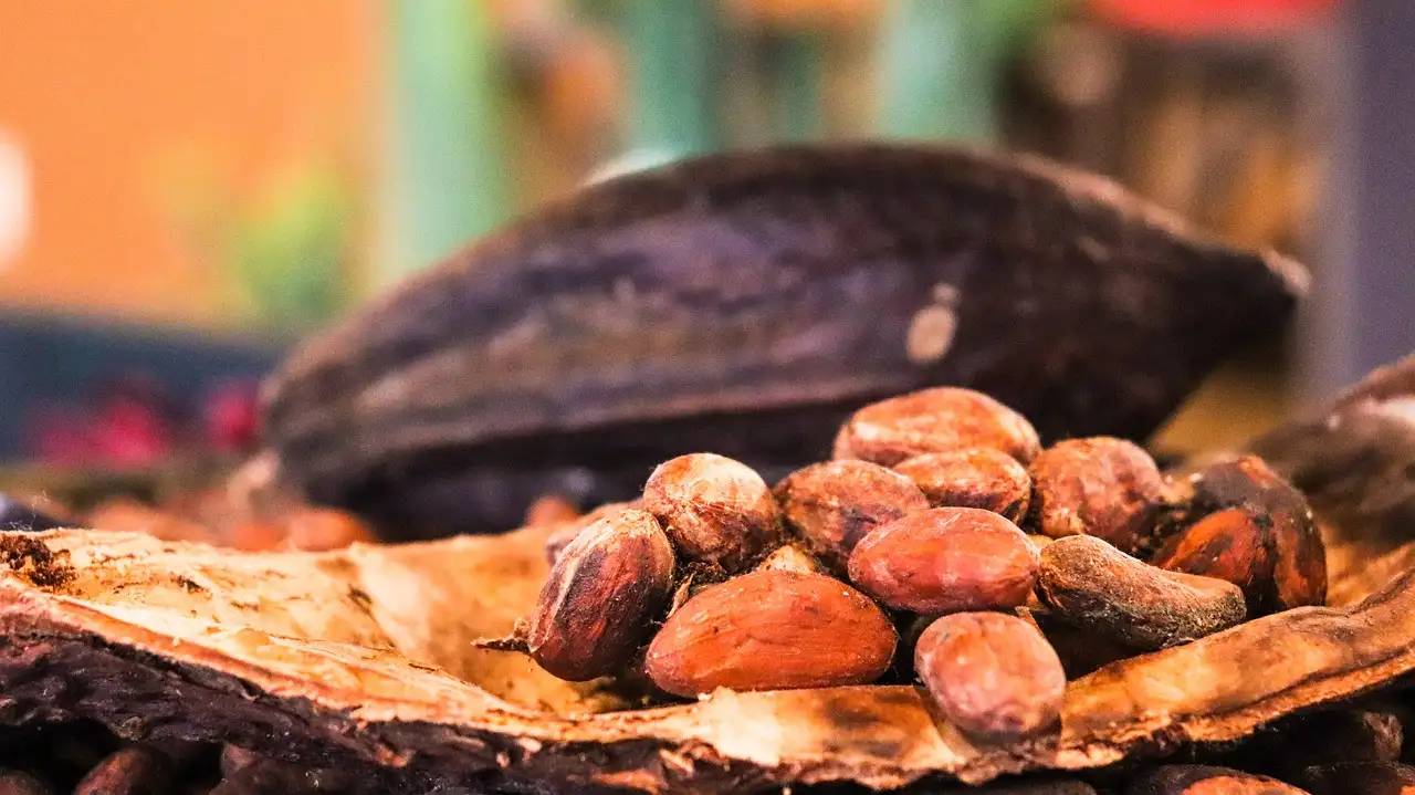 Qual è il significato di mais e cacao nella cultura messicana?