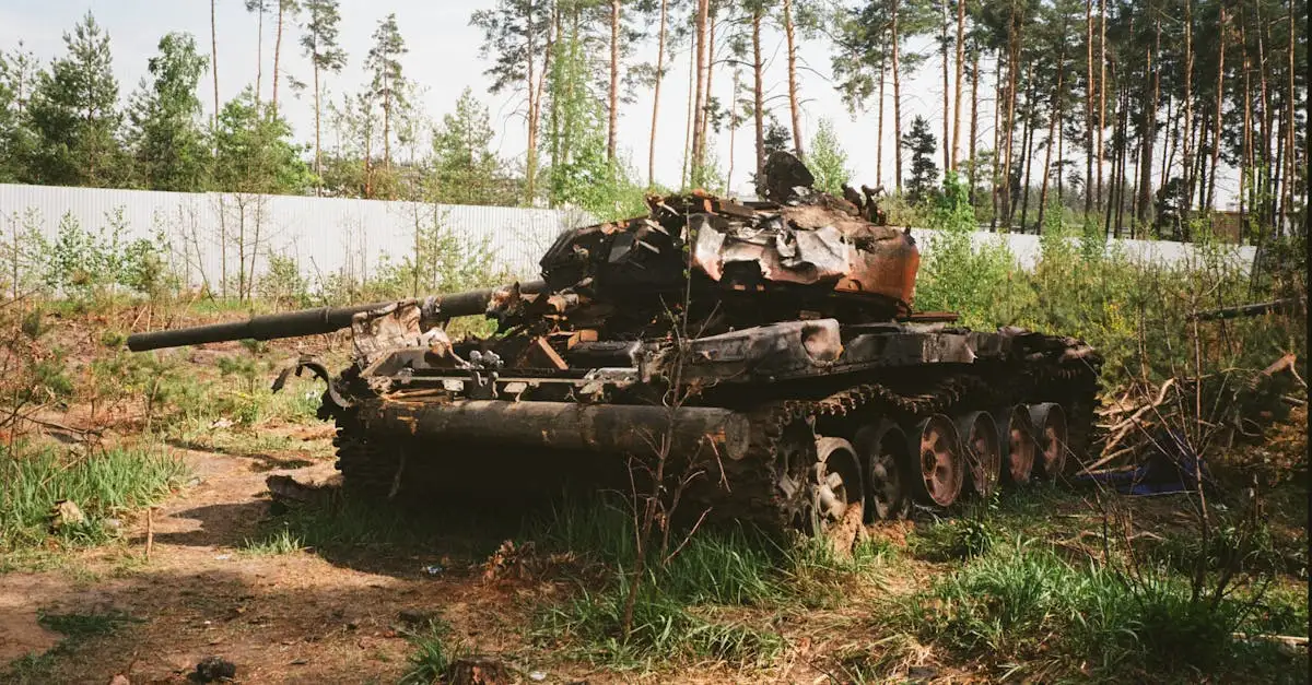 Quale fu il ruolo dell'Unione Sovietica nella guerra?