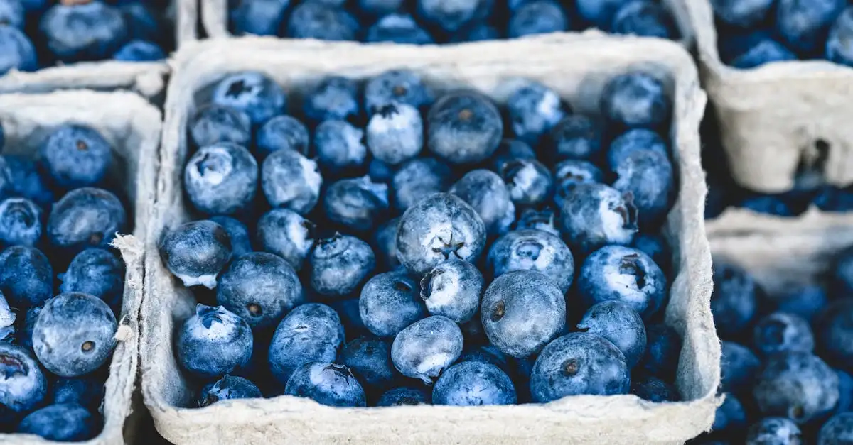 Ricevo abbastanza vitamine e minerali nella mia dieta?