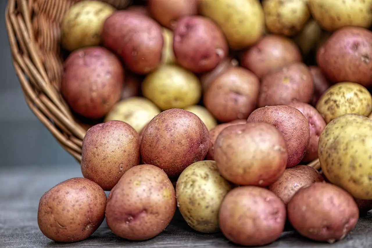 Come conservare le patate fresche in un luogo buio?