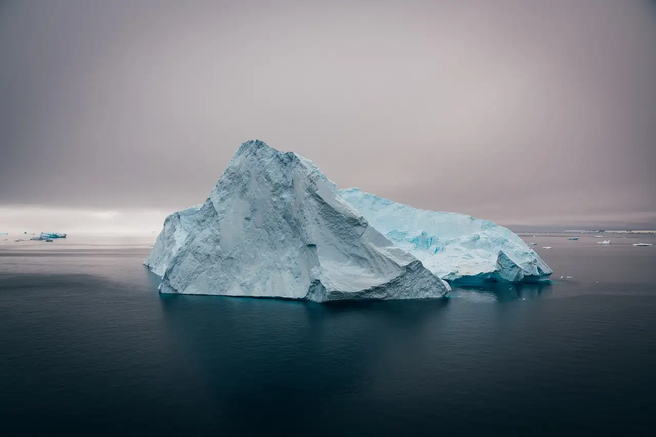 Come incide il clima sulla sopravvivenza degli orsi polari?