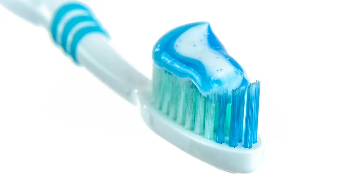 Come la menta garantisce un alito fresco? Scoprilo ora!
