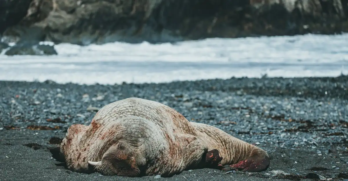 Come può l'IA salvaguardare biodiversità e natura?