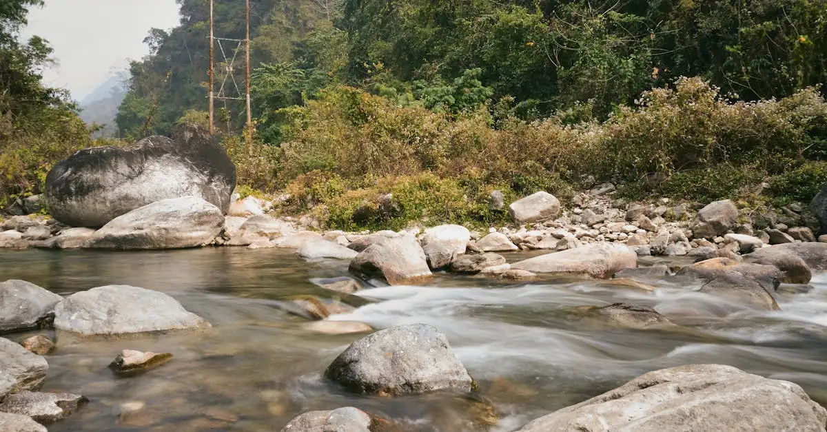 Cos'è il Parco Nazionale Jigme Dorji in Bhutan?