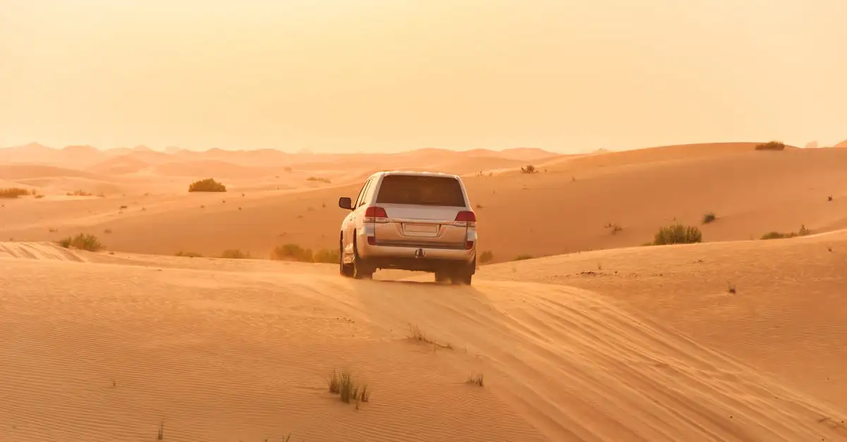 Dove esplorare il moderno e futuristico Dubai?