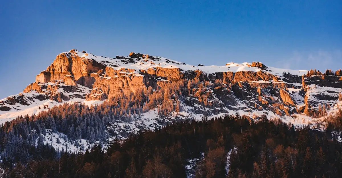 Dove sciare a Chamonix nelle Alpi francesi?
