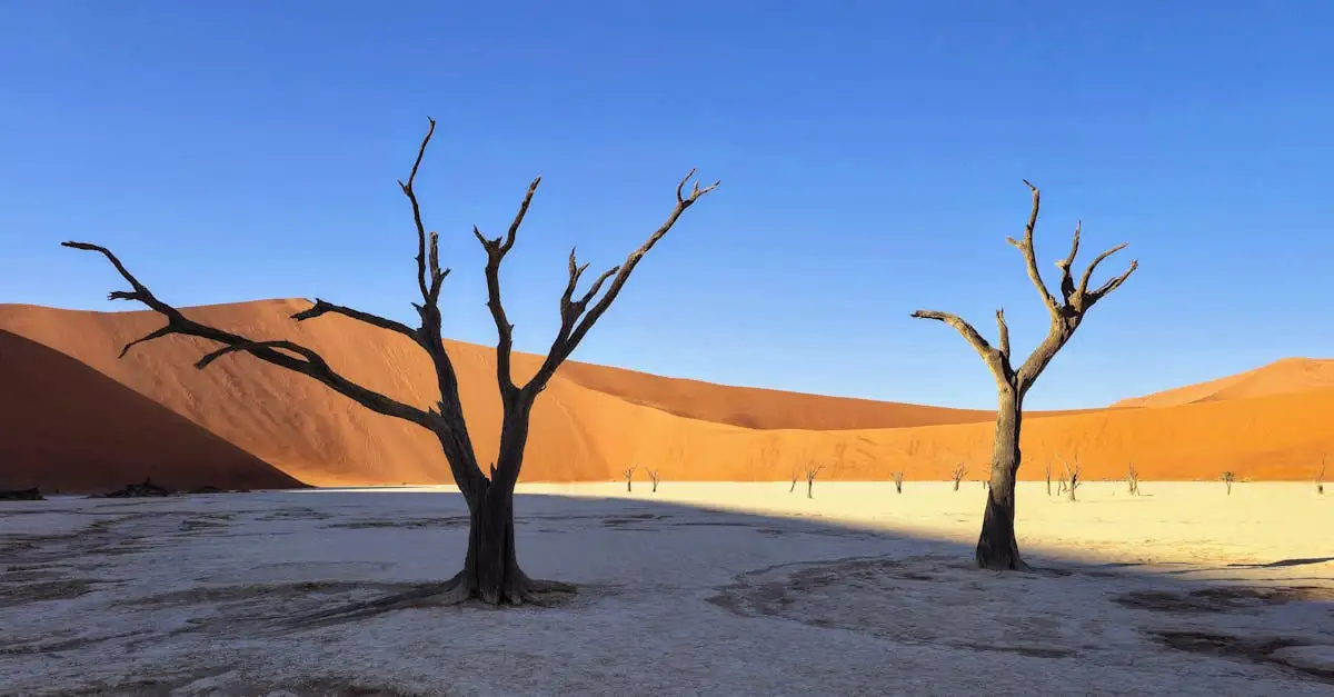 Dove si trova il deserto Namib e il parco Namib-Naukluft?