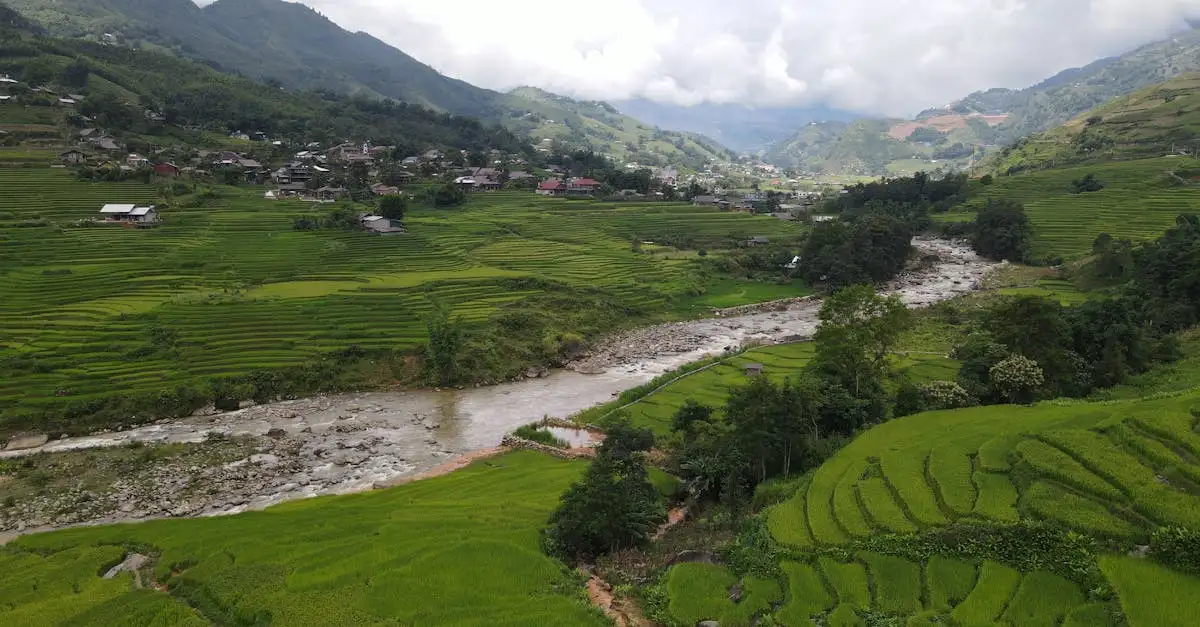 Dove si trovano i famosi campi di riso a Sapa, Vietnam?