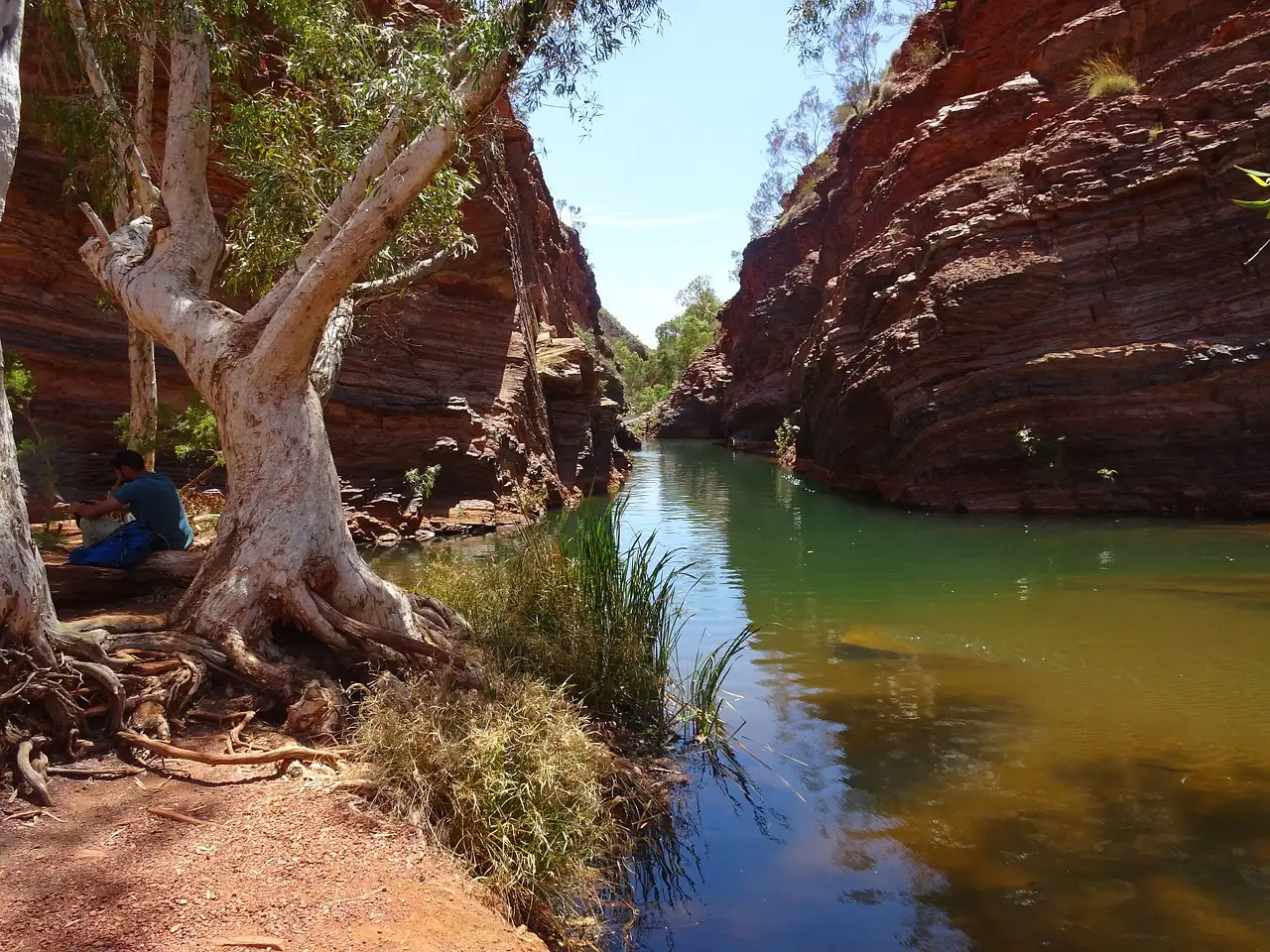 Dove trovare piscine naturali a Karijini per nuotare?