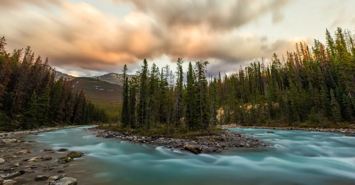 Perché il Parco Nazionale di Jasper è famoso per i ghiacciai?