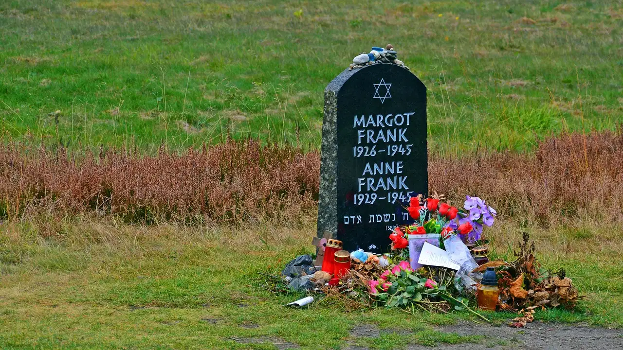 Qual è il contributo di Anne Frank alla storia della guerra?