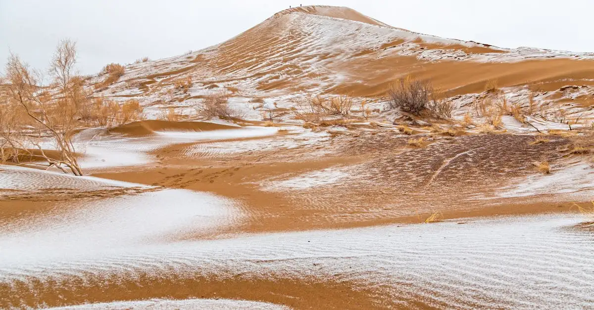Qual è il deserto freddo della Patagonia?