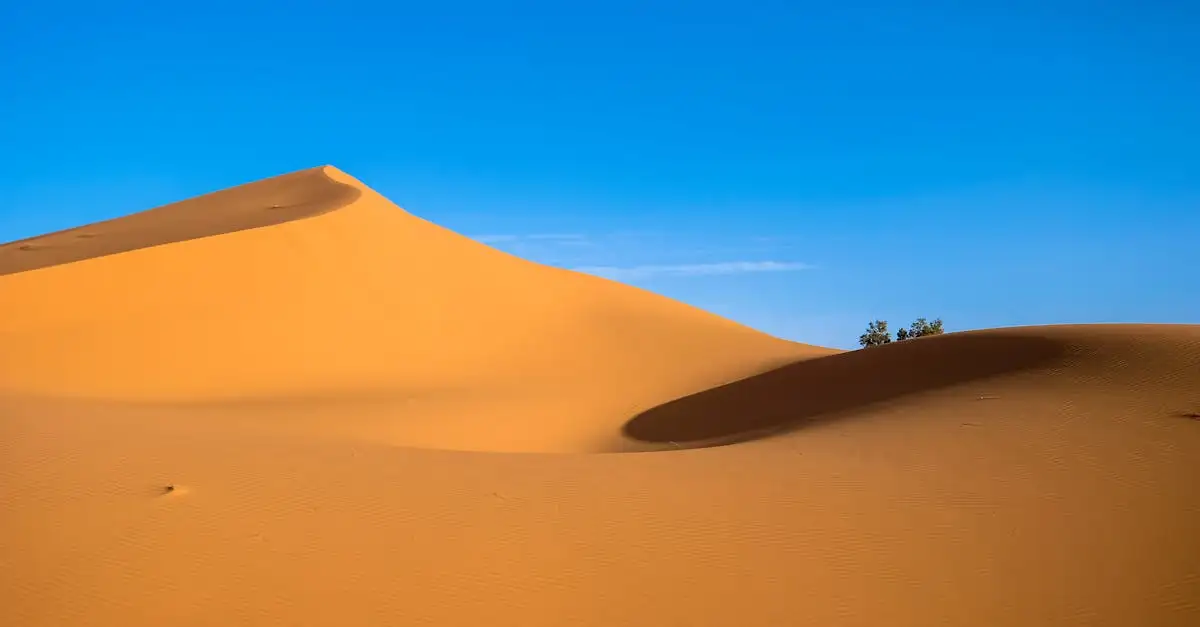 Qual è il deserto marocchino con dune da film?