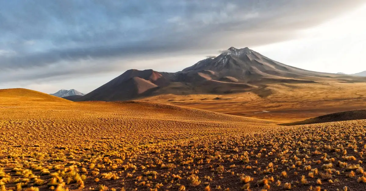 Qual è il deserto più famoso del Cile: l'Atacama?