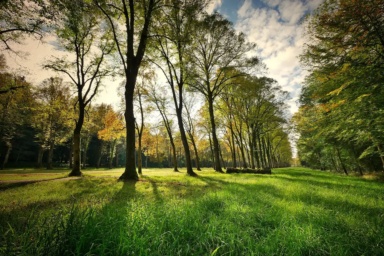 Qual è il più grande parco nazionale in Svizzera?
