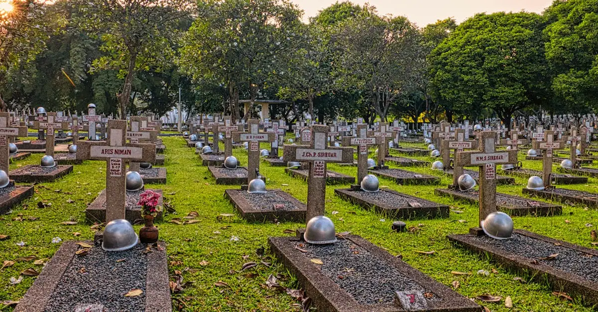 Qual è il ruolo della Croce Rossa in guerra?