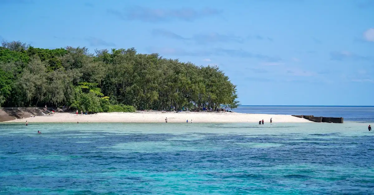 Qual è la città australiana vicina alla Grande Barriera Corallina?