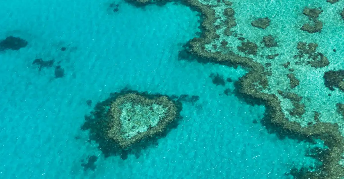 Qual è la città australiana vicina alla Grande Barriera Corallina?