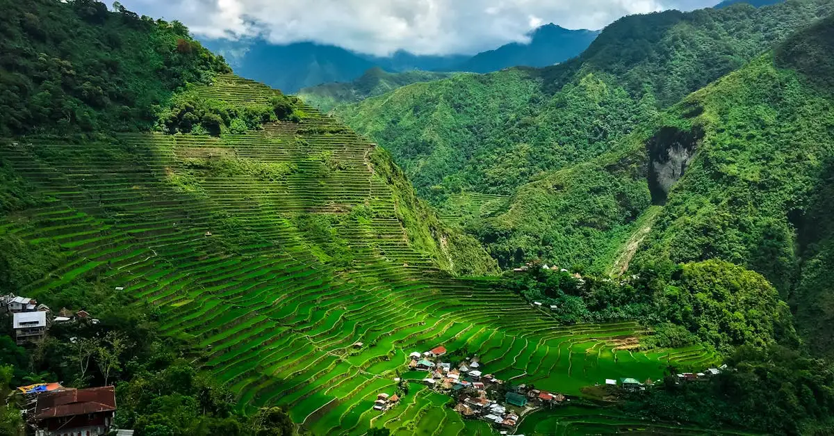 Qual è la città filippina famosa per i campi di riso di Banaue?
