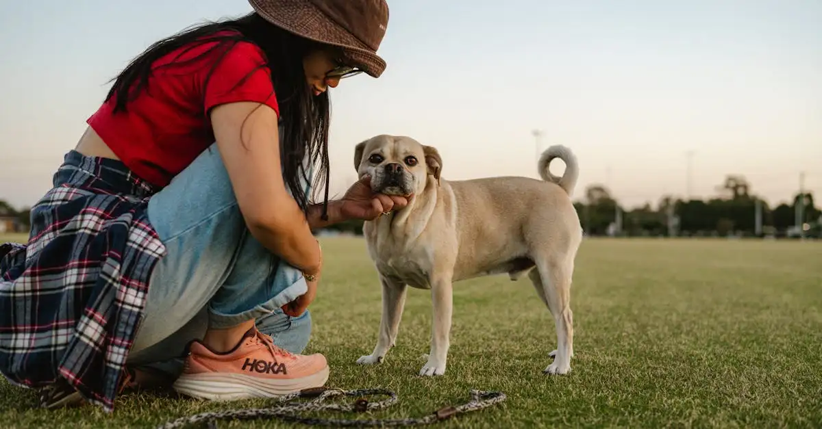 Qual è la durata media della vita di un cane? Scoprilo qui!