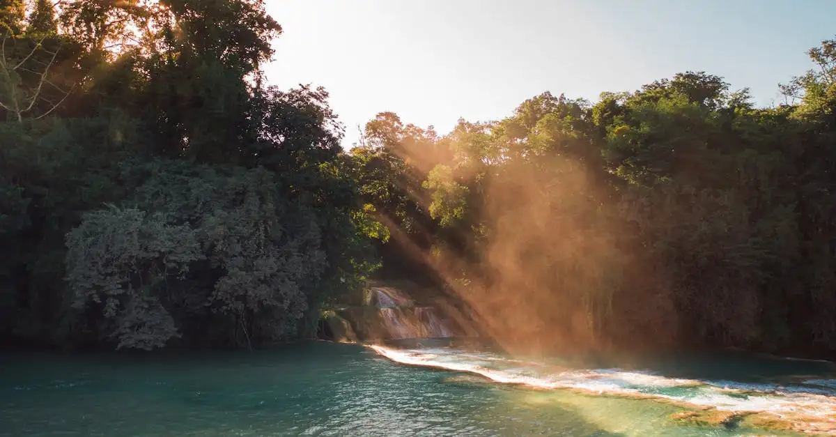 Qual è l'importanza dell'Amazzonia nella politica ambientale?