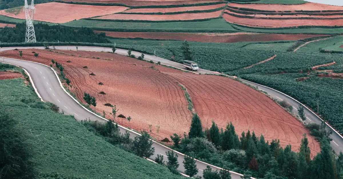 Quali colture praticavano gli Inca nella loro civiltà?