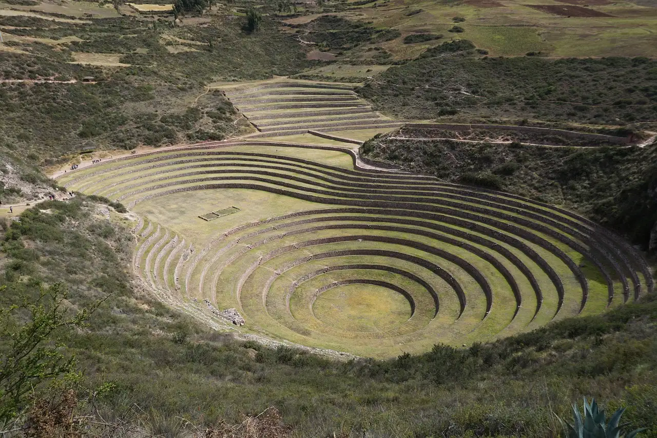 Quali colture praticavano gli Inca nella loro civiltà?