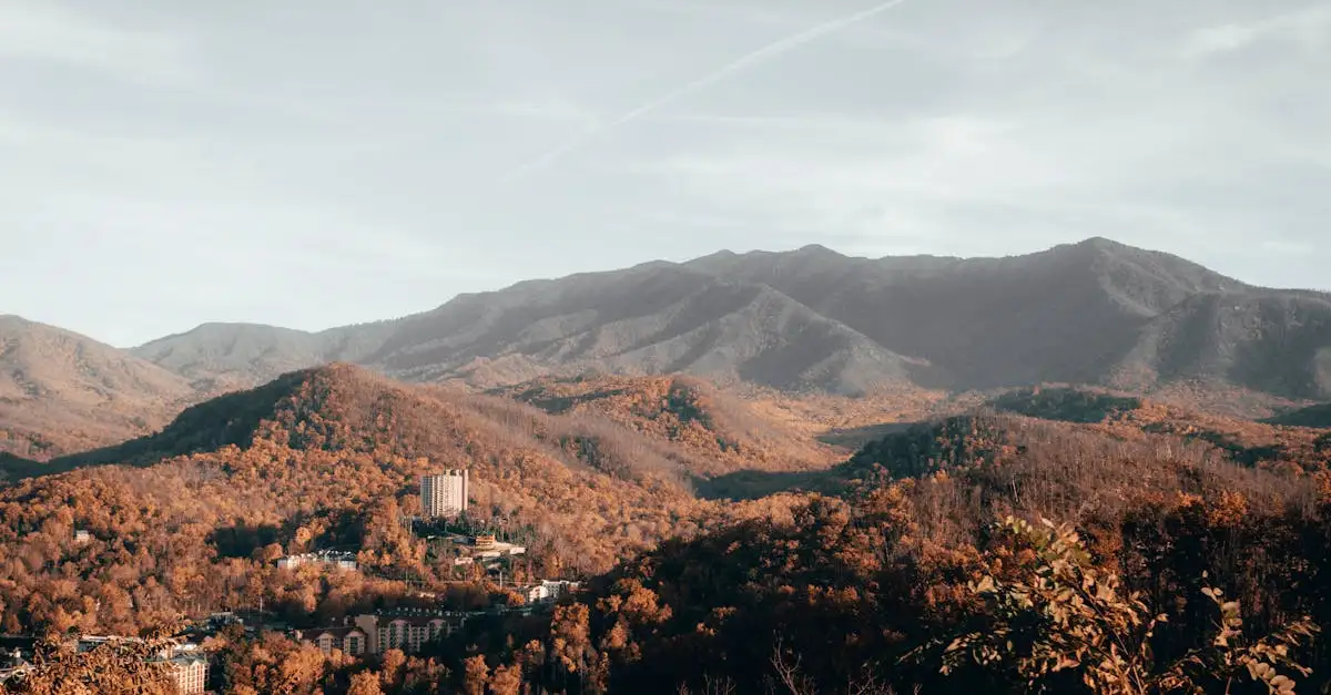 Quali sono le montagne iconiche delle Great Smoky Mountains?