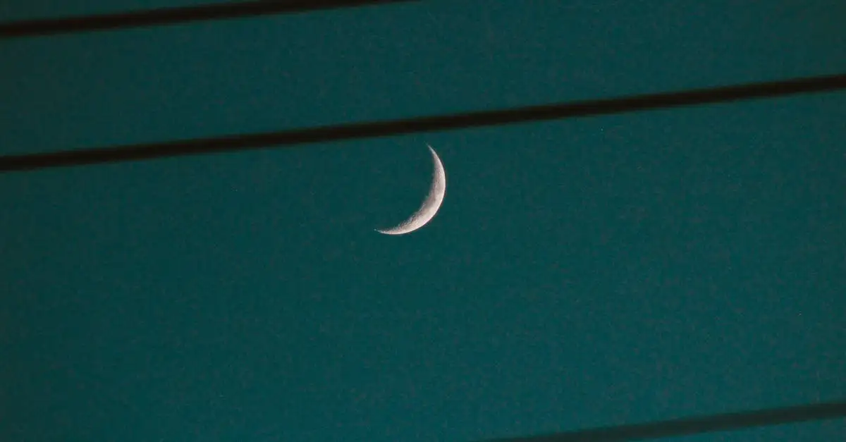 Chi è Chandra, il sovrano della luna e delle piante?