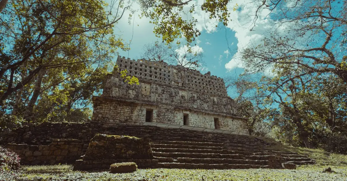Come si conservano oggi le lingue maya?