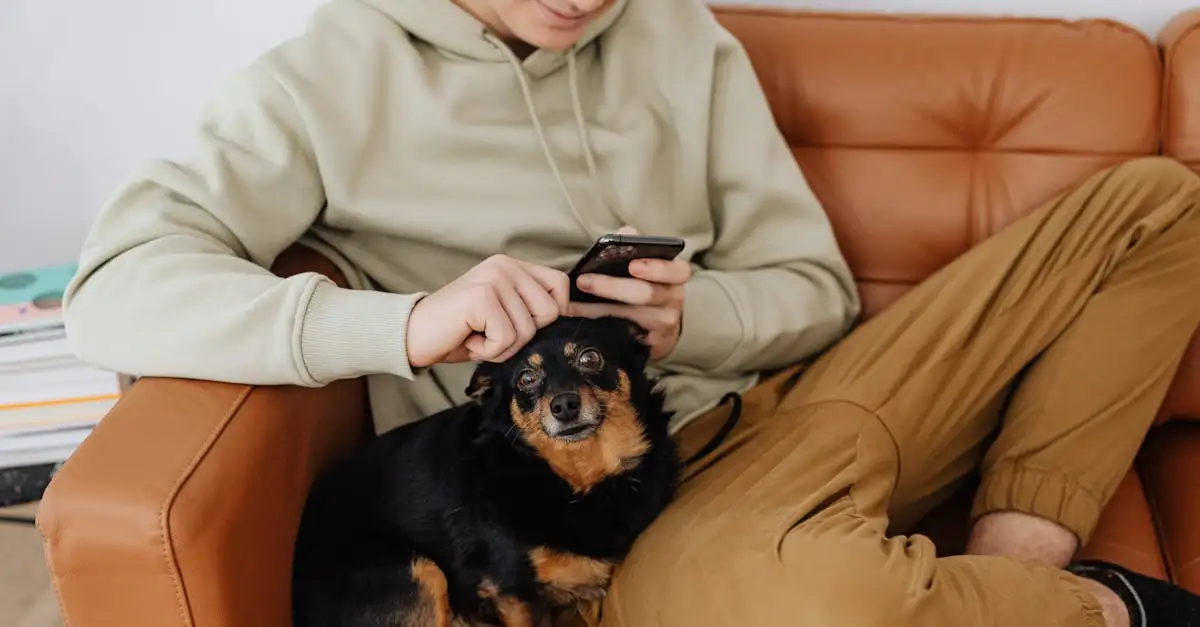 Cosa rende i cani unici nella loro interazione con noi?