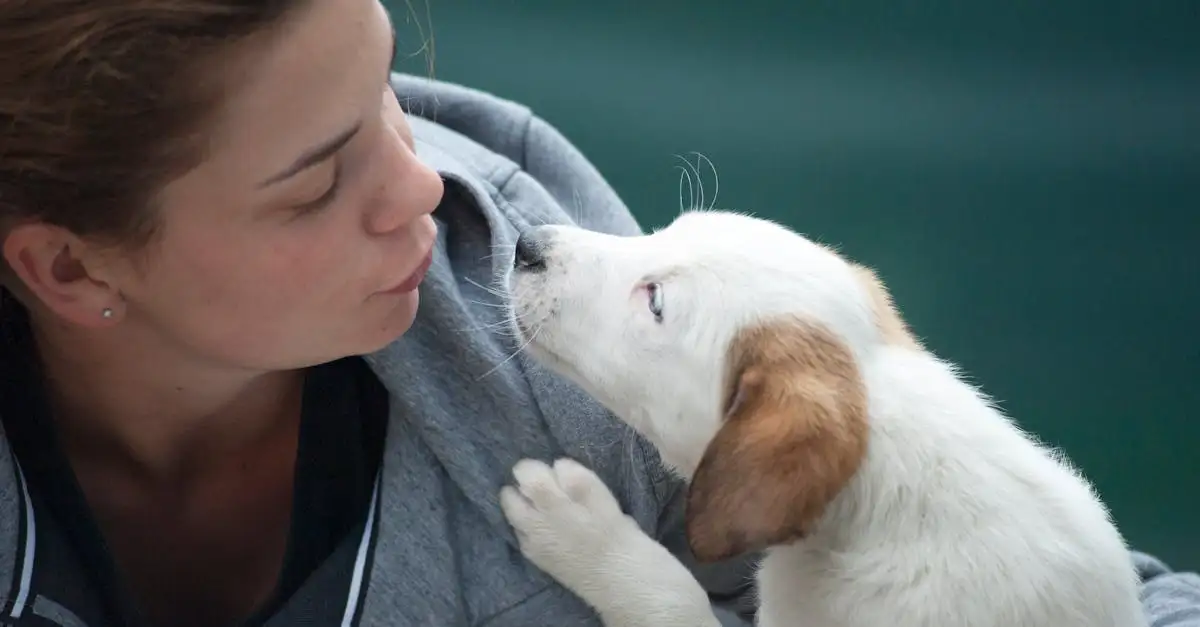 Cosa rende i cani unici nella loro interazione con noi?
