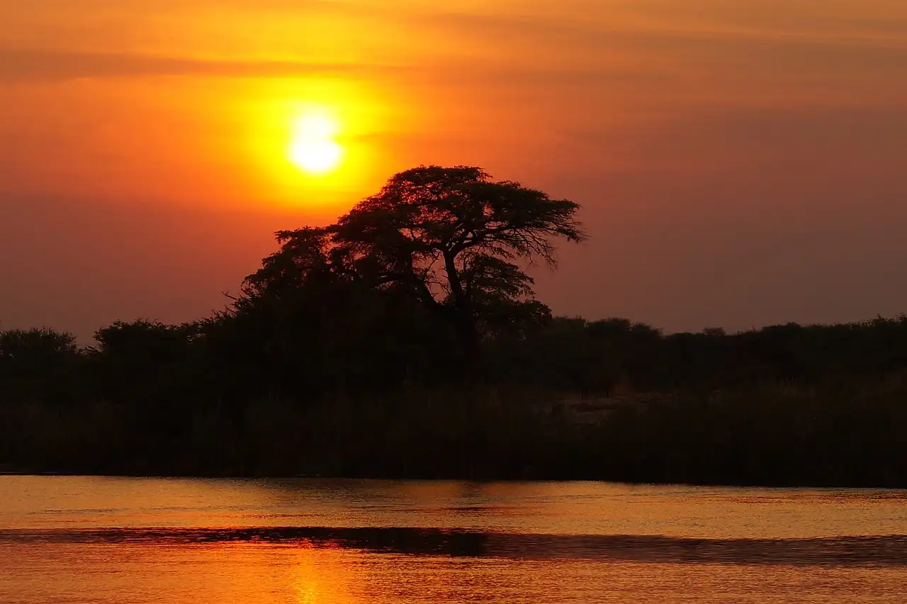 Cosa rende speciale la delta dell'Okavango in Botswana?