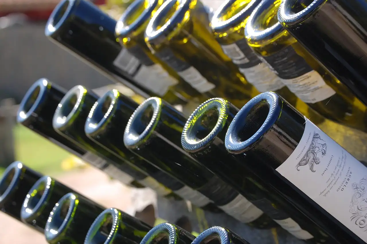 Cosa visitare nella regione vinicola di Mendoza, Argentina?