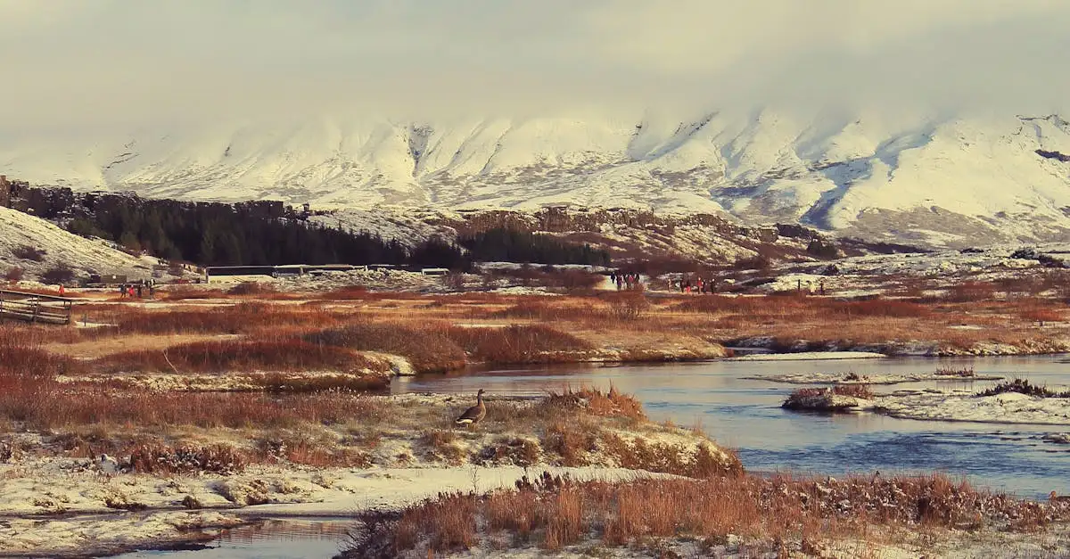 Cos'è il Parco Nazionale Þingvellir in Islanda?