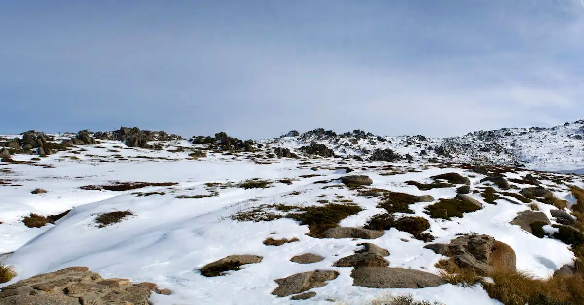 Dove sciare a Mount Buller nelle Alpi australiane?
