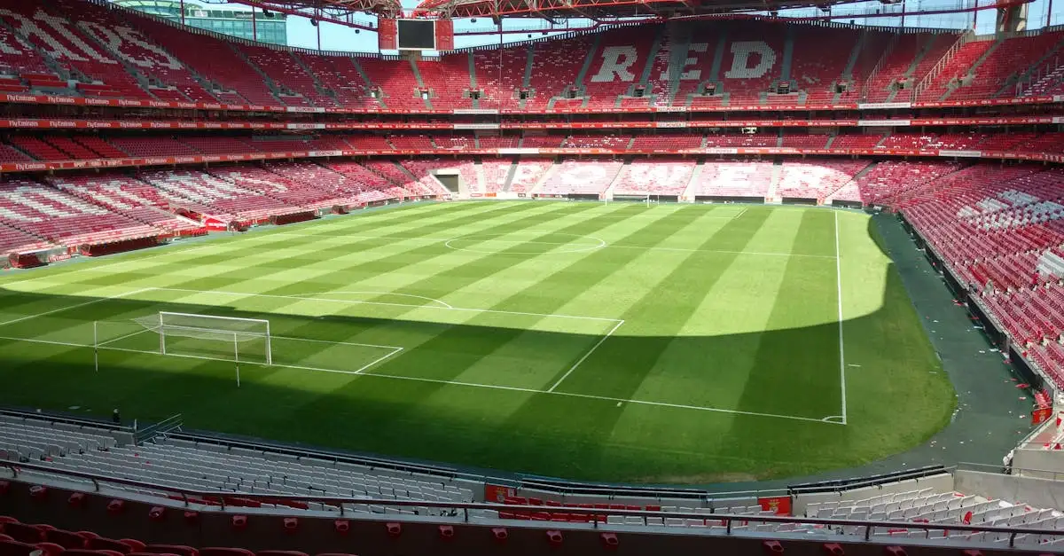 Dove si trova l'Estádio da Luz del Benfica a Lisbona?