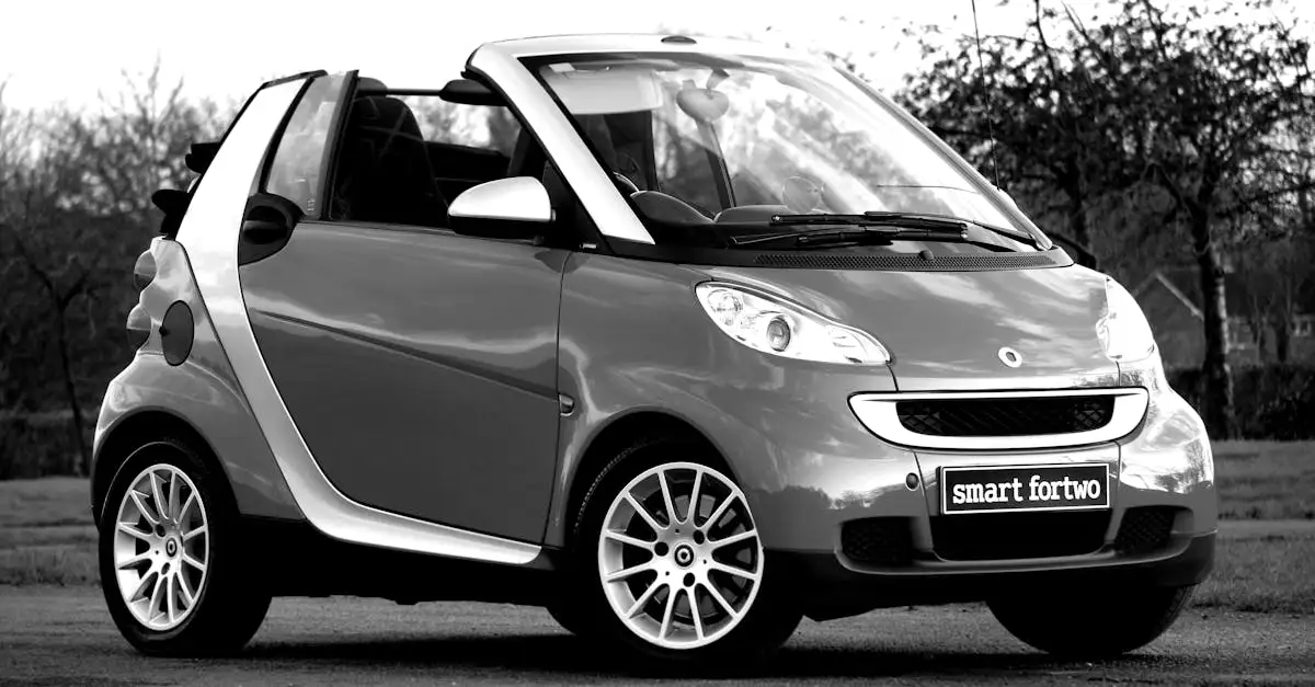 È stata la ruota la chiave per il trasporto efficiente?