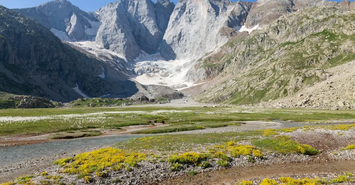 Qual è il parco naturale dei Pirenei in Francia?