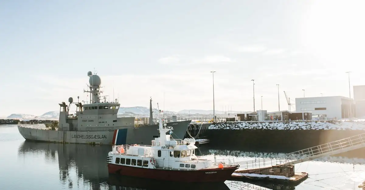 Qual è il ruolo di navi e sottomarini nella marina?