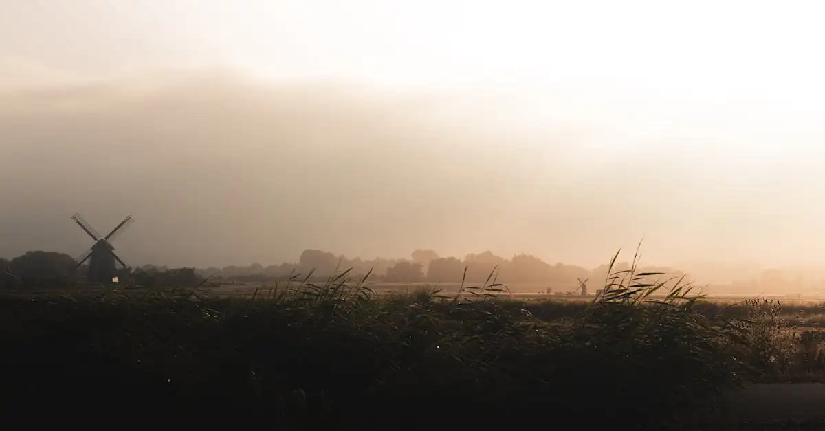 Qual è la provincia olandese famosa per i bulbi di fiori?