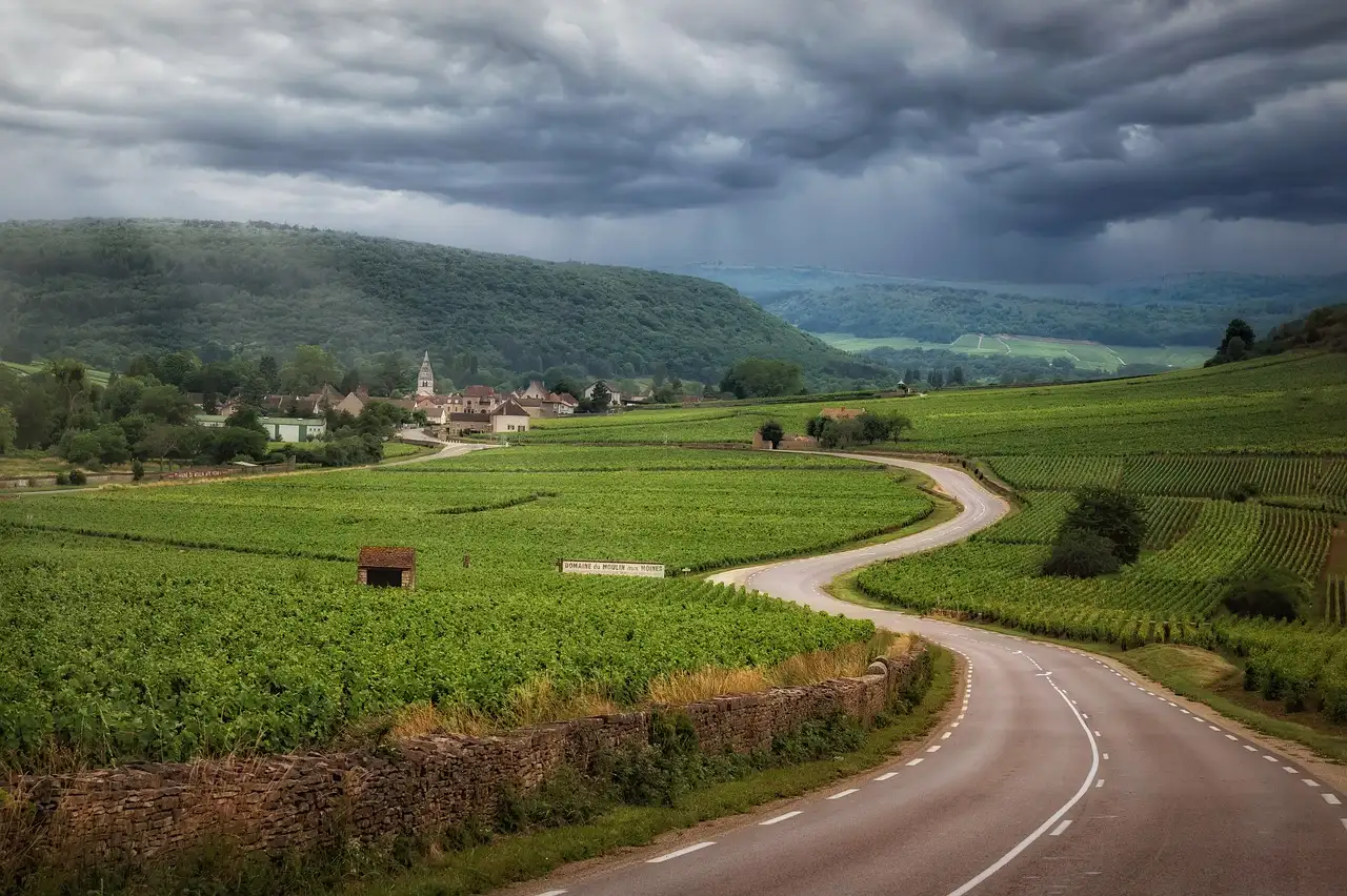 Qual è la regione vinicola più famosa della Francia?